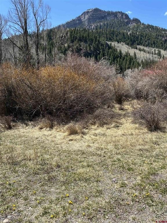 Other - Lot 48 Cottonwood Drive, Antonito, CO