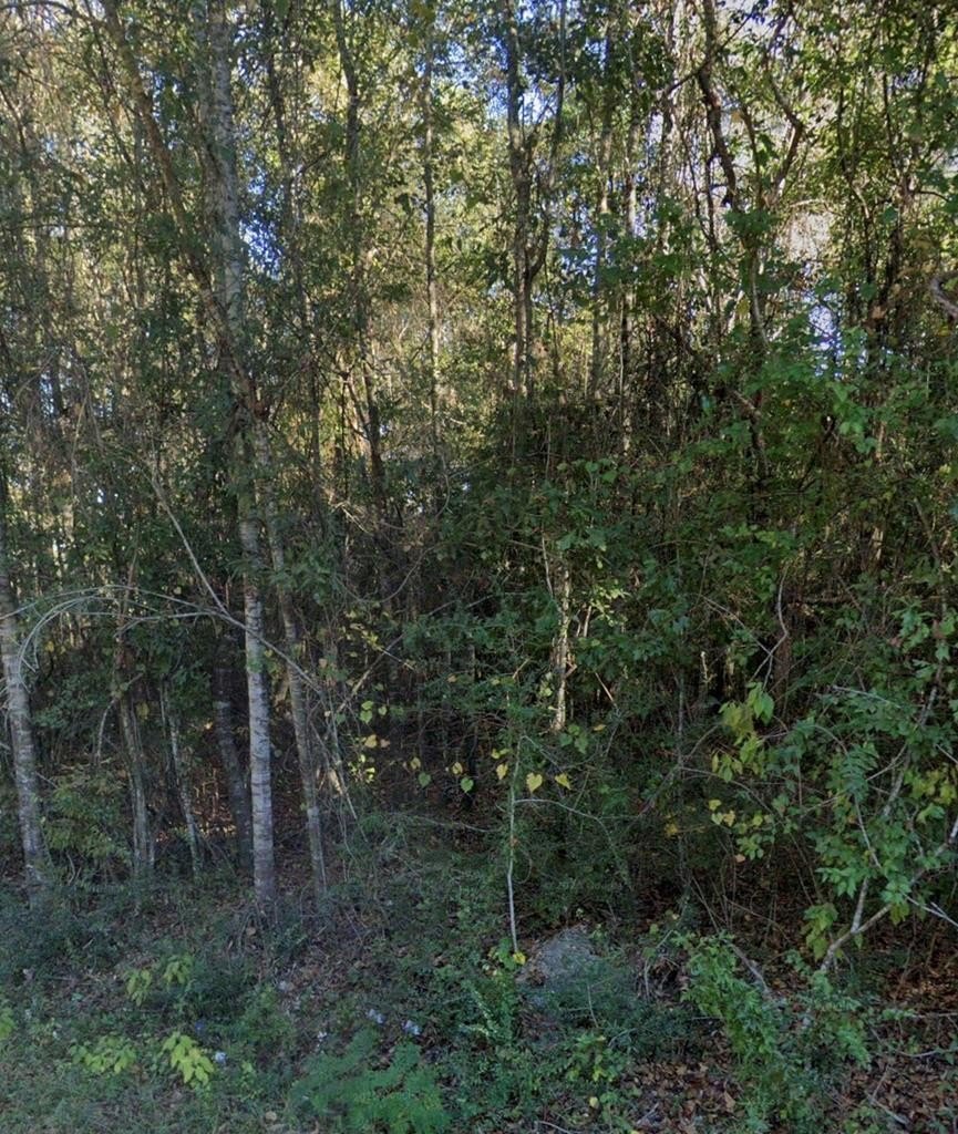 Single Family - 0 Lakeside Cove Lot 142 Unit 2, Carriere, MS