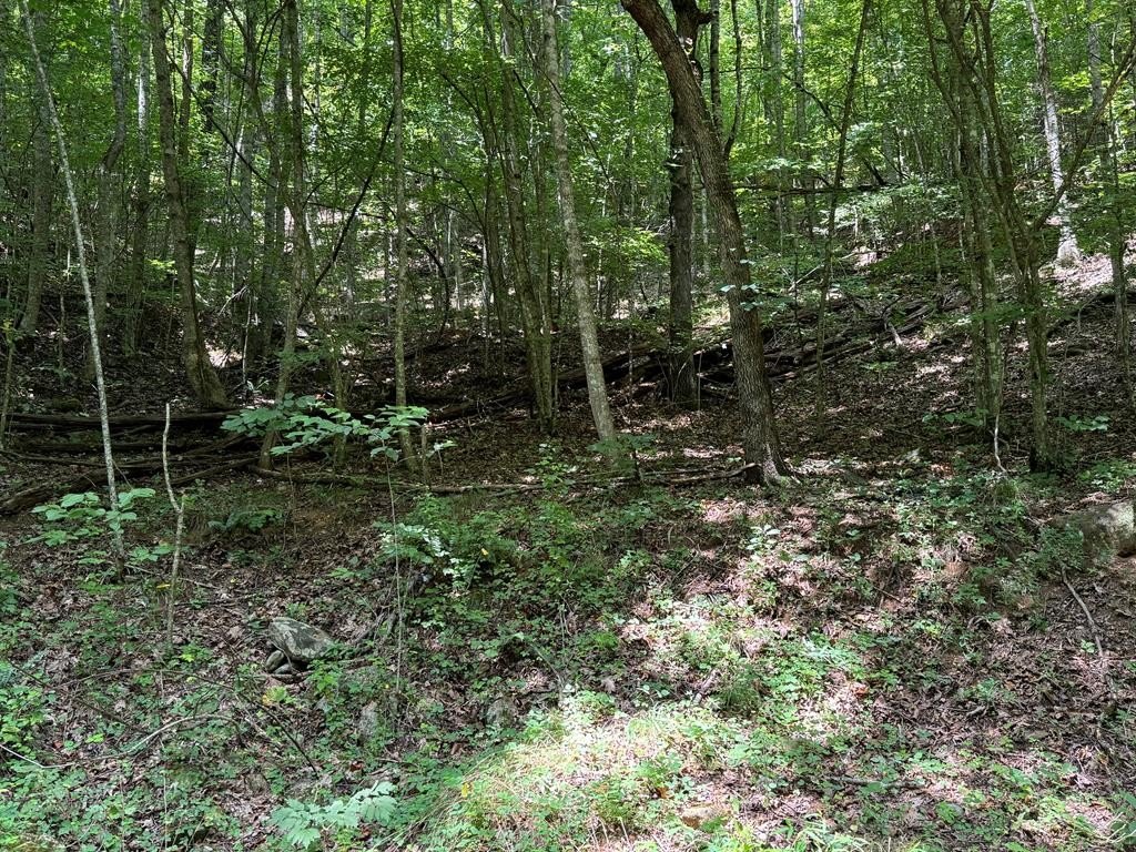 Other - Saldeer Mountain Rd, Franklin, NC