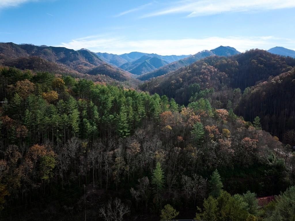 Other - Sky Ridge Dr., Bryson City, NC