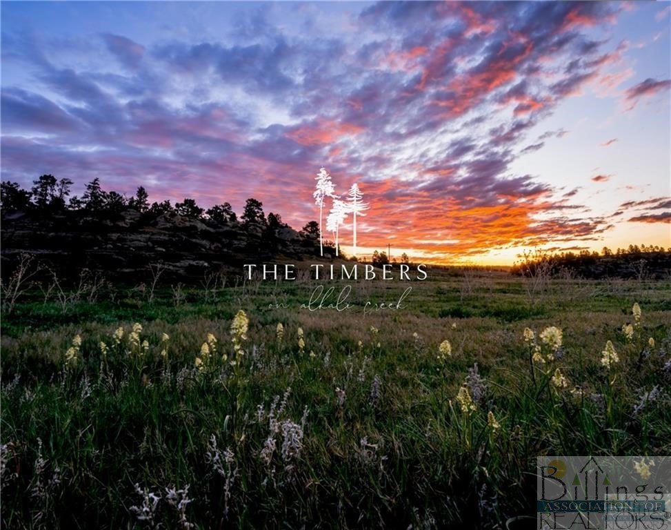 Other - TIMBERS Boulevard S lot: 52, Billings, MT