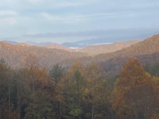 Other - 573 High Mountain View lot: 39, Bryson City, NC