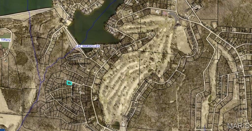 Other - Lot 1 Antoinette Dr., Bonne Terre, MO