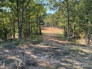 Wildwood Lane (Lot 48)  
