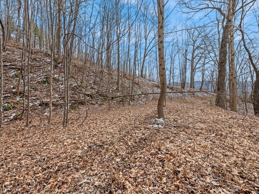 Other - #5 Viewpoint Mountain, Waynesville, NC
