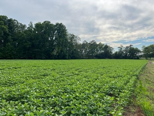 Other - LOT 22C BULLBEGGAR RD, WITHAMS, VA