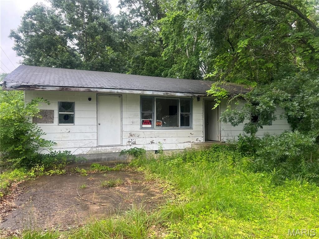 Single Family 2BR 1BA - 0 Bud Avenue, Piedmont, MO