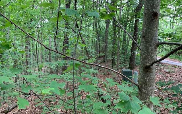 Other - Lot 18 Bruce Mountain, BLAIRSVILLE, GA