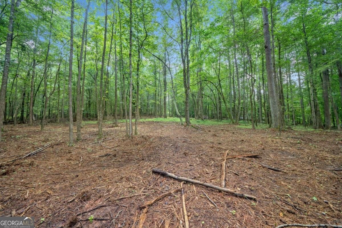 Plots and Land - 225 Brock TRL #2, Milton, GA