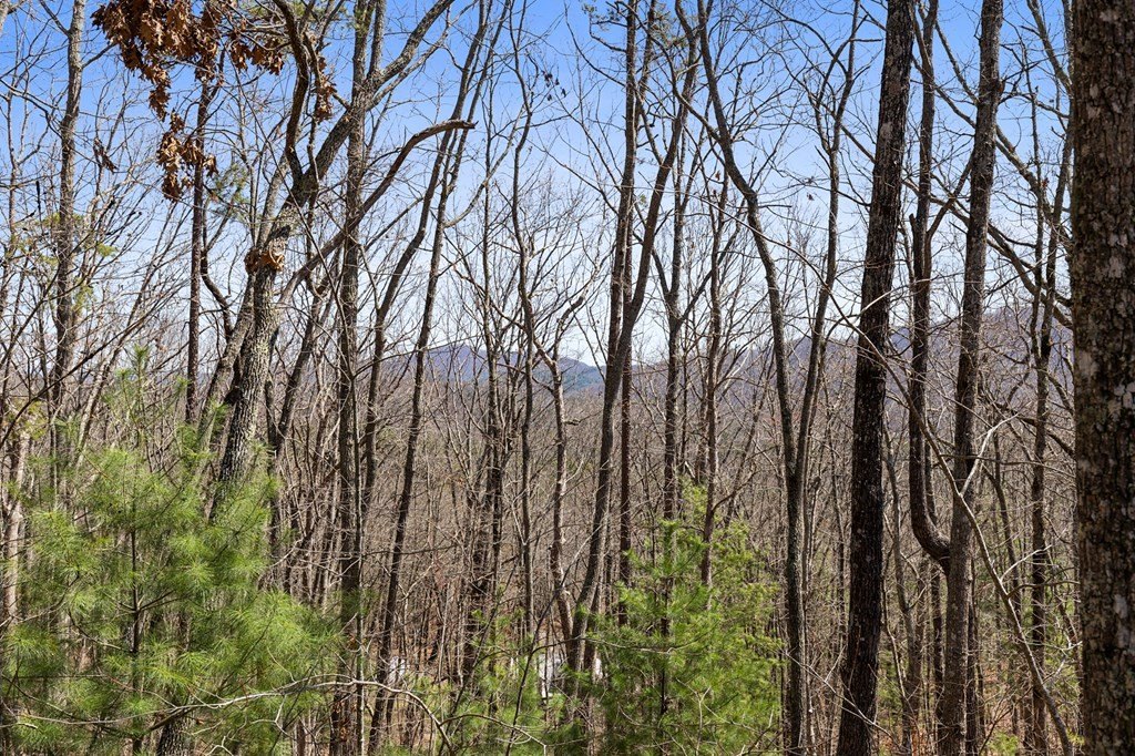 Other - 40a Synacia Road, Mineral Bluff, GA