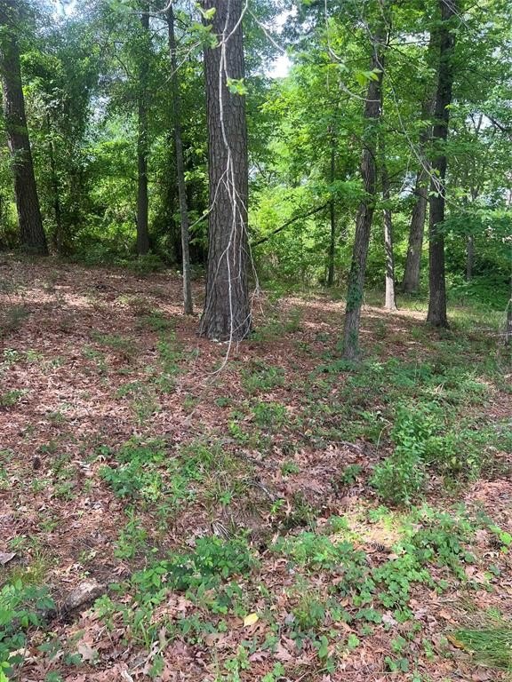 Other - 5417 Briarcliff Circle, Shreveport, LA
