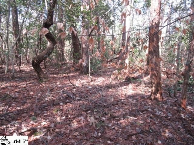 Other - 15 Matthews Creek Lane, Cleveland, SC