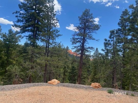 Other - 1395 W Canyon Breeze, Duck Creek Village, UT