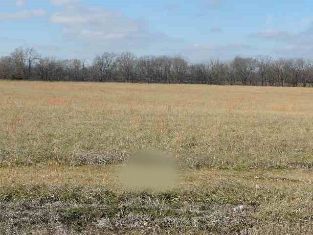 Other - Lot 54 Golden Meadow Lane, Ledbetter, KY
