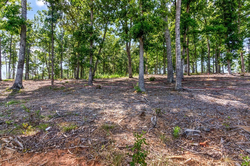 Other - Lot 84 Ridge Drive, Morganton, GA