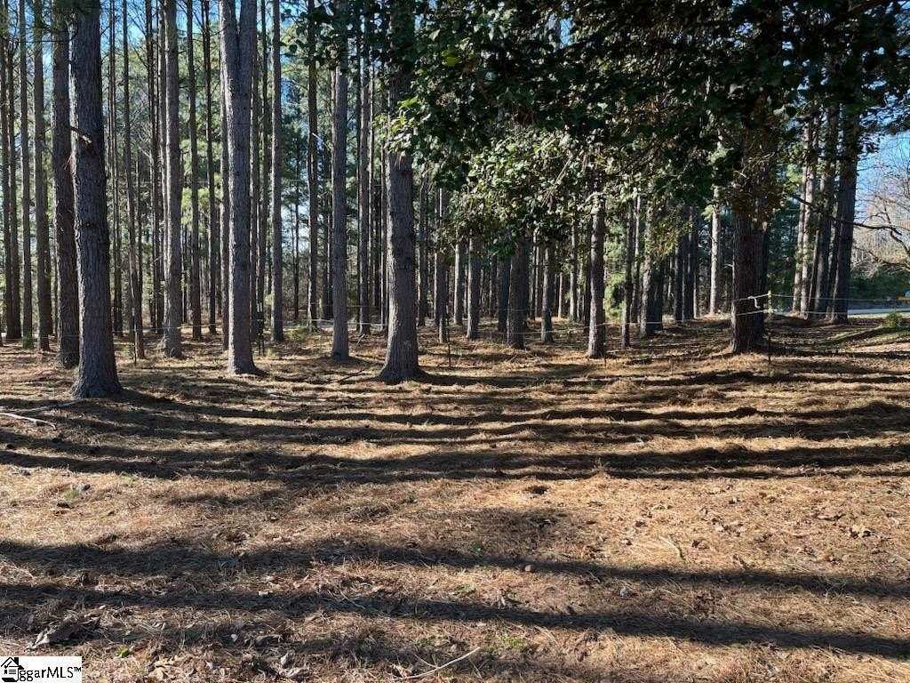 Other - 2075 Mount Lebanon Road, Campobello, SC