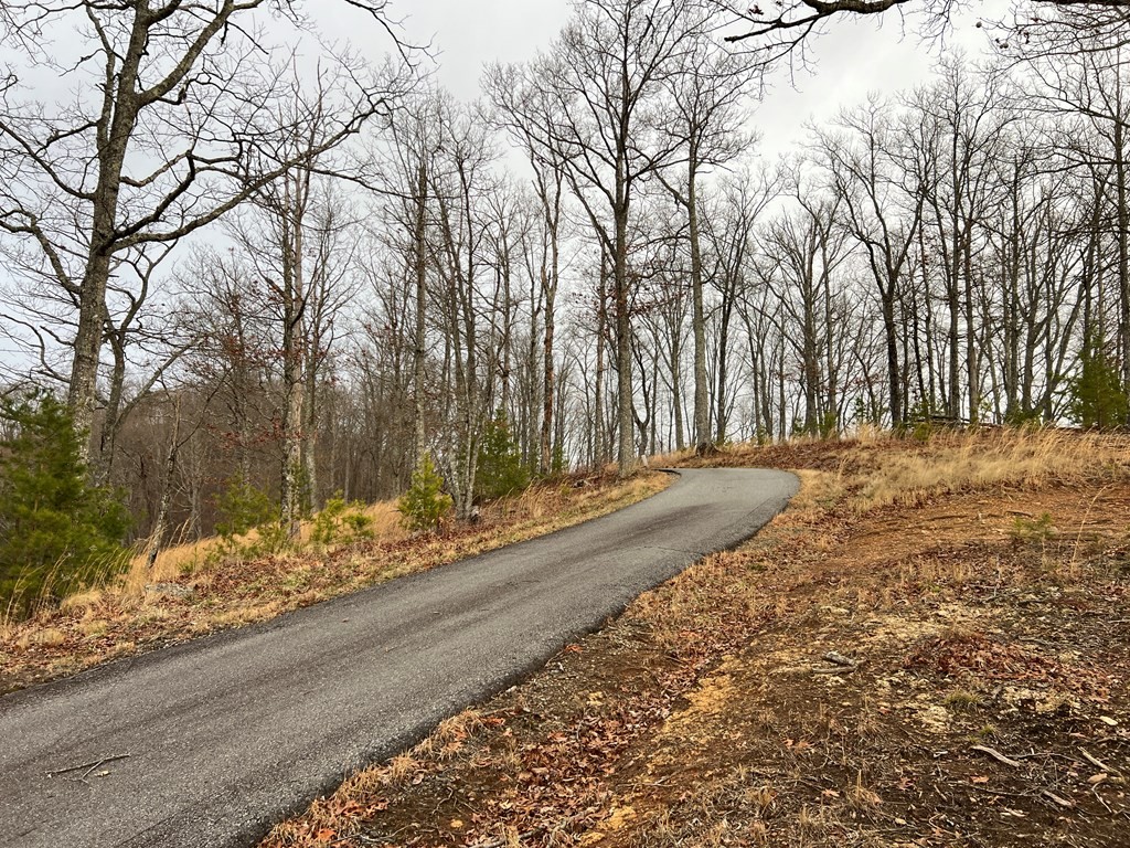 Other - Lot 137 Shiloh, Hayesville, NC