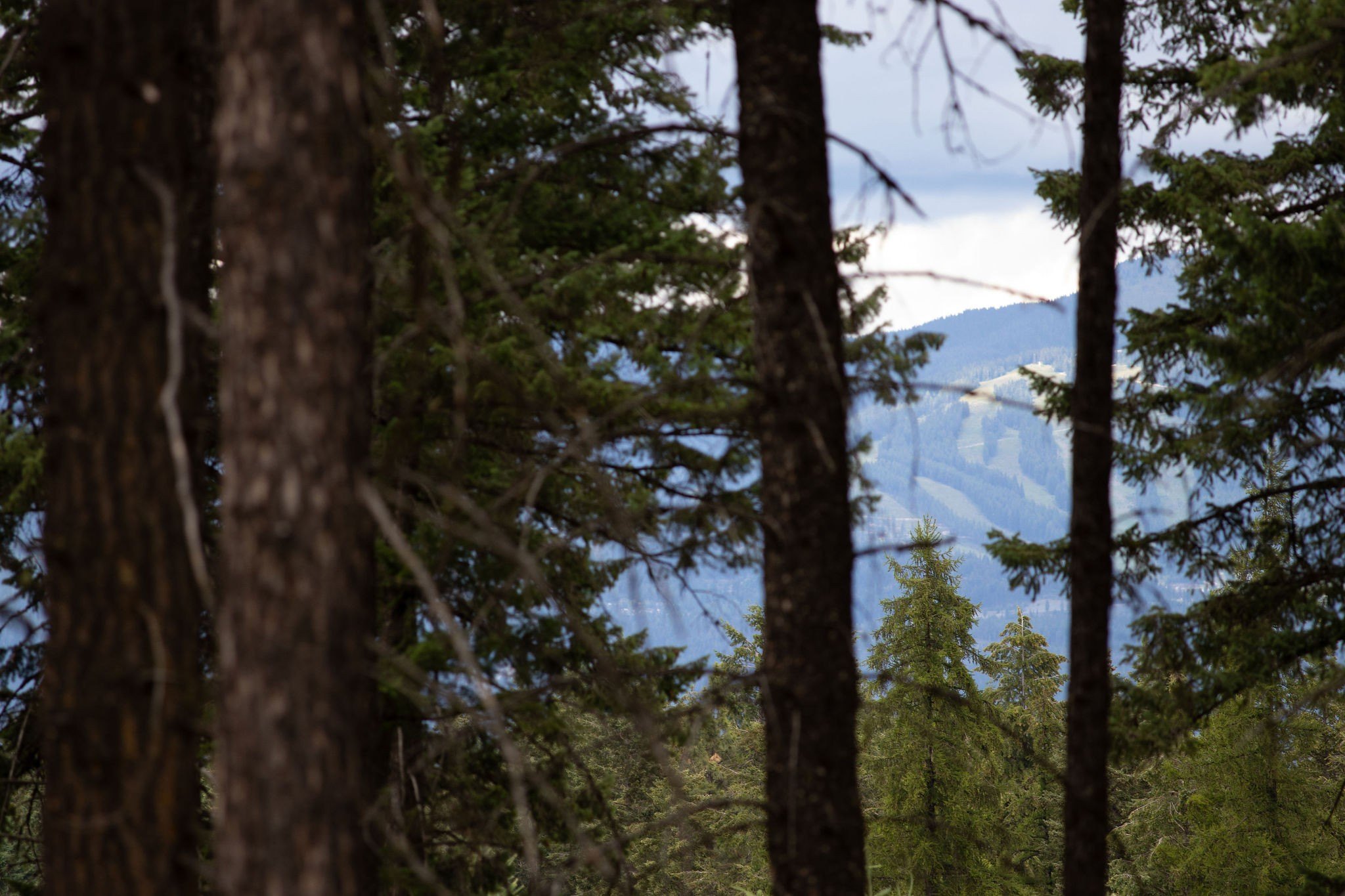 Other - 149 Rosewood Lane Lot 8, Whitefish, MT