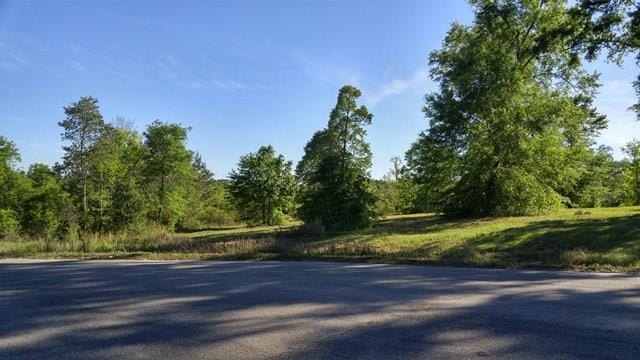 Other - Lot36 Fallen Leaf Dr, Poplarville, MS