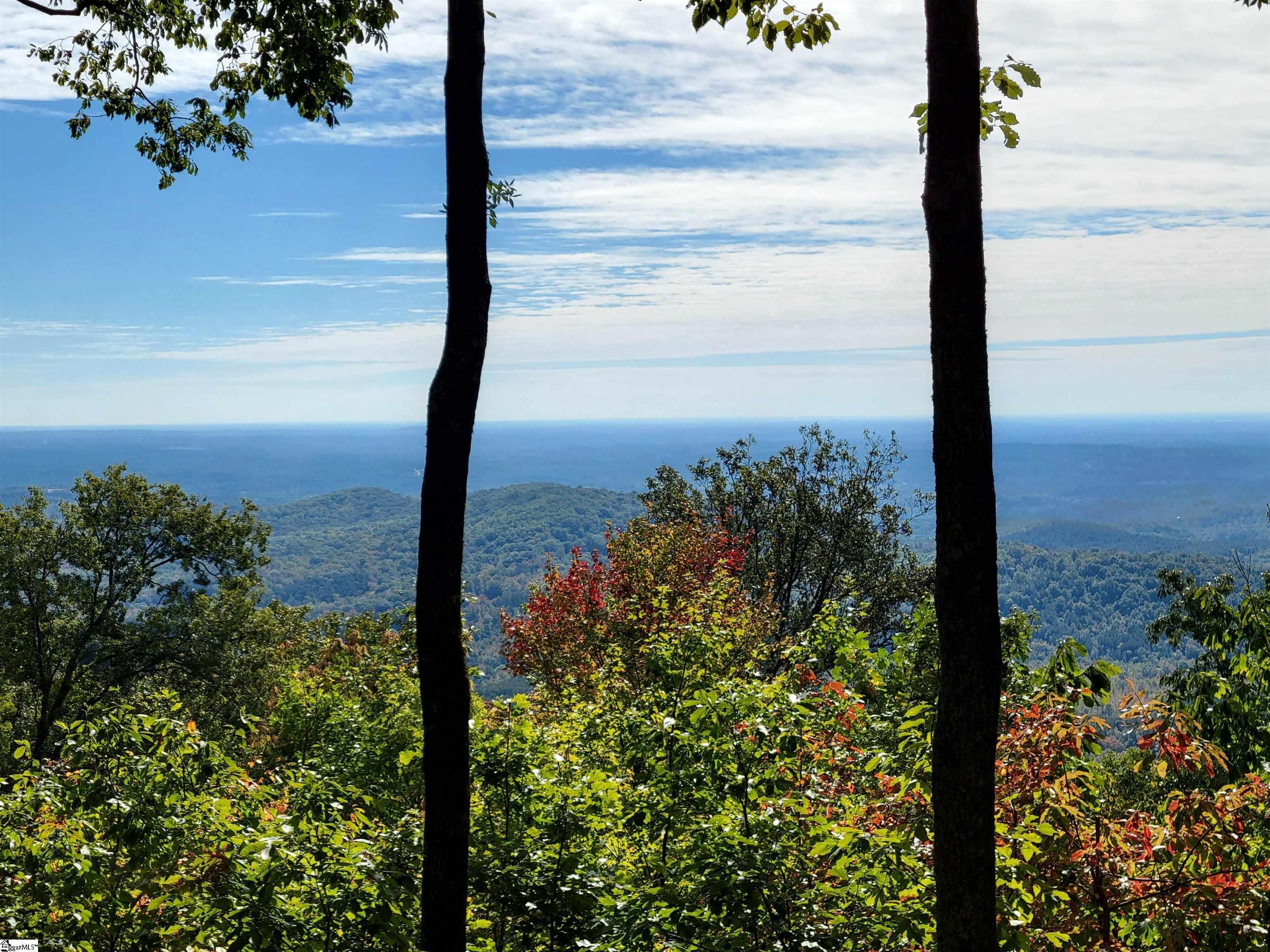 Other - 8 Pine Shadow Lane, Landrum, SC