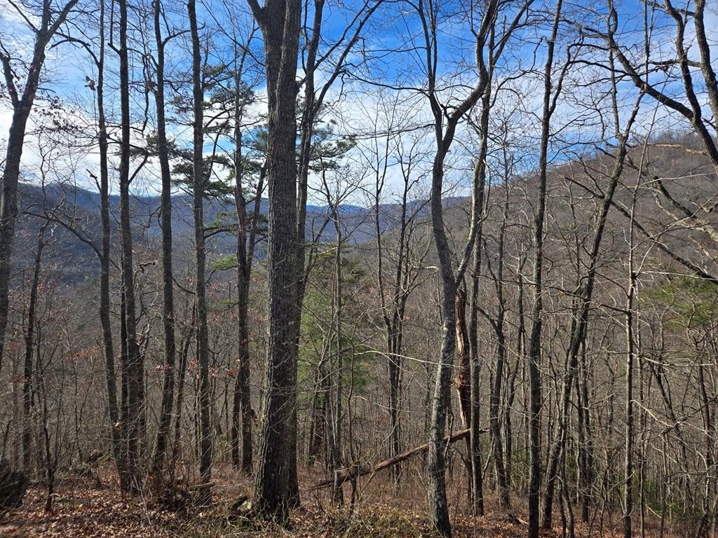 Other - Stone Pillow Road lot: 14B, Tuckasegee, NC