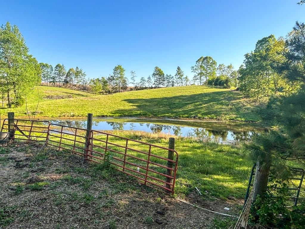 Plots and Land - 1185 Blackburn Rd., MCKENZIE, TN