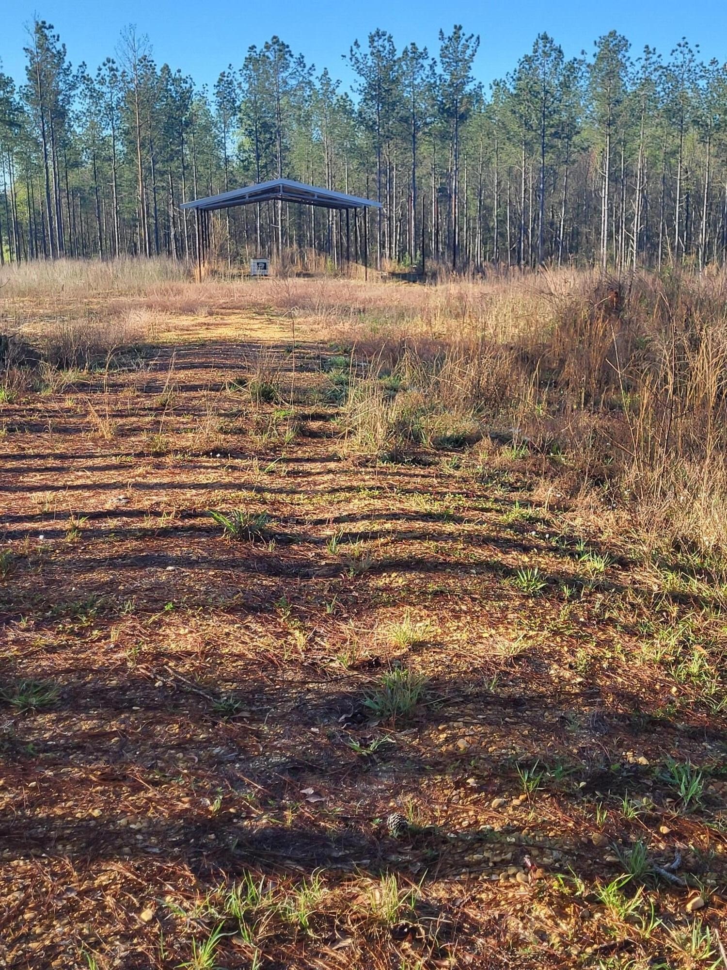 Plots and Land - 1575 Purvis To Baxterville, Purvis, MS