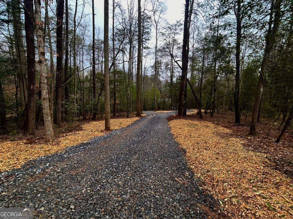 Other - 0 Grace DR, Blue Ridge, GA