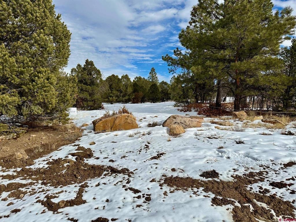 Other 3BR 3BA - N Badger Trail, Ridgway, CO