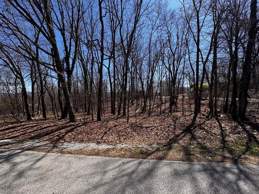 Other - 127 Baltusrol Road, CROSSVILLE, TN