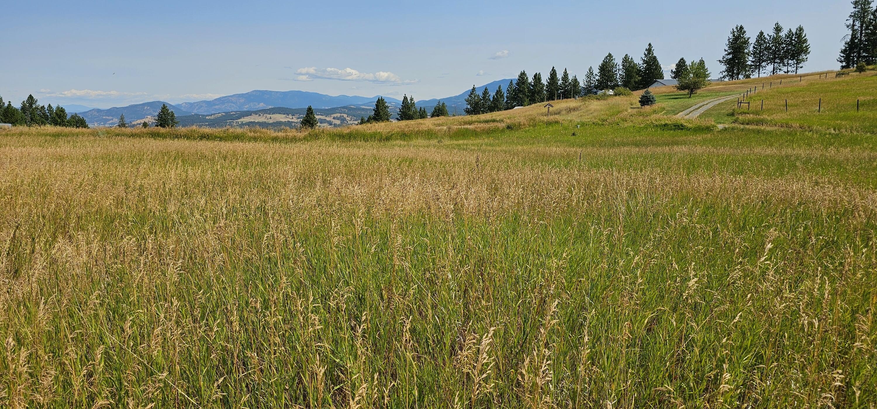 Other - 1041 WARD WAY, COLVILLE, WA