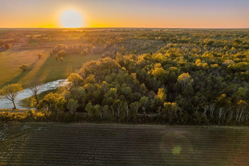 Other - TBD 80 acres HWY 296, Texarkana, AR
