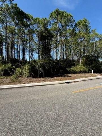 Other - 171 Royal Tern Way, Carrabelle, FL