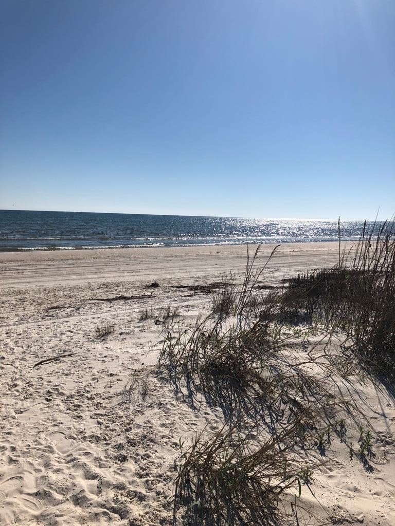 Other - Seagrass Cir lot: 12, Cape San Blas, FL