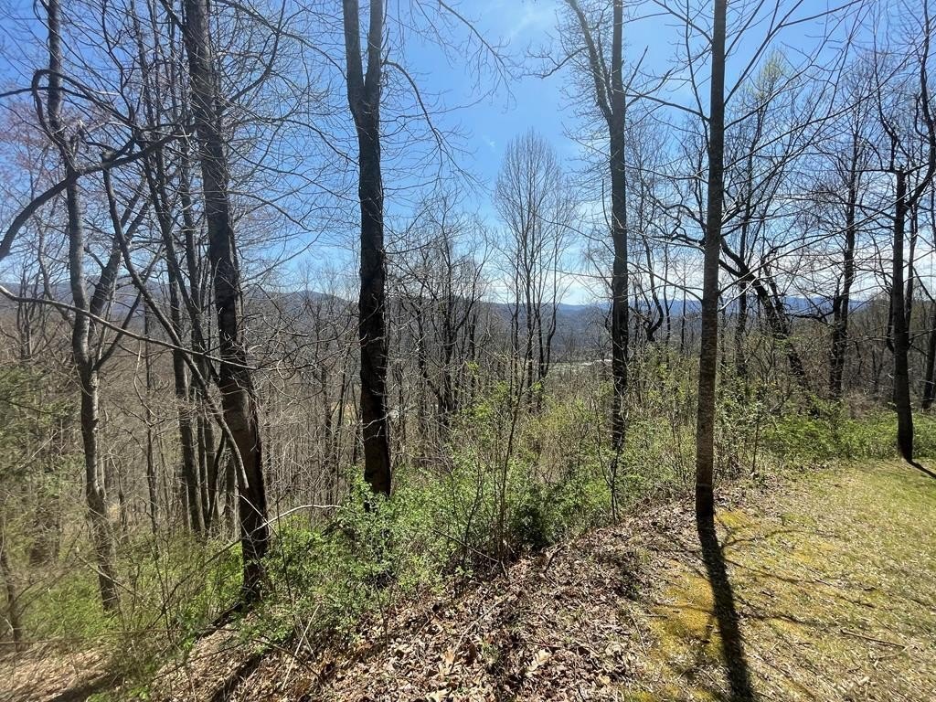 Other - Oleander Lane lot: 12, Sylva, NC