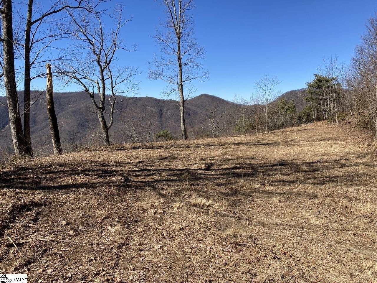 Other - 1506 Panther Park Trail, Travelers Rest, SC
