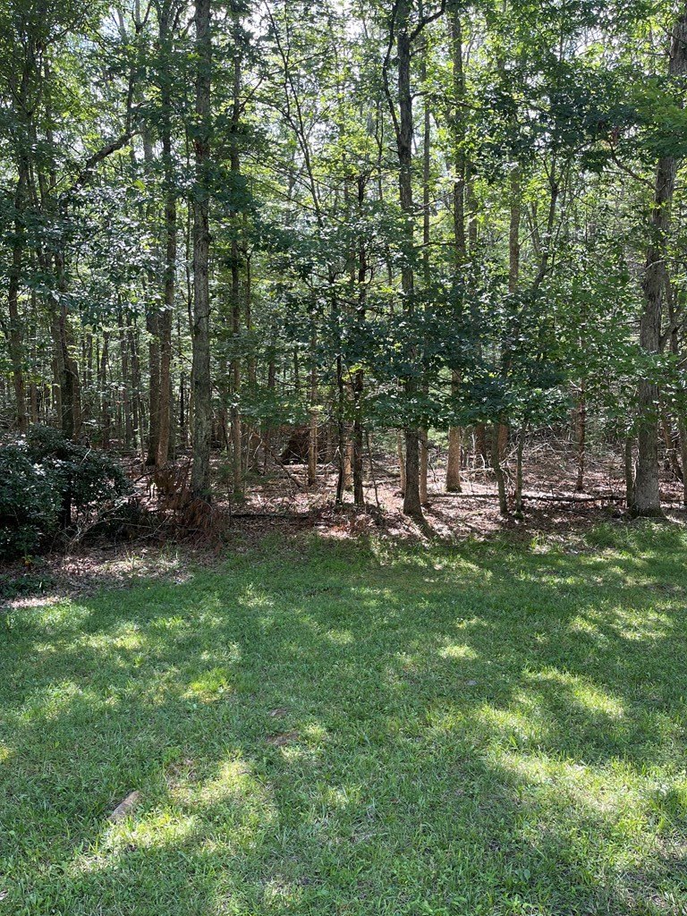 Other - 222 Mountain Laurel, DANIELS, WV