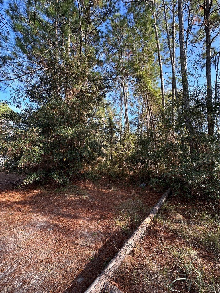 Other - 0 Sailfish Drive, Darien, GA