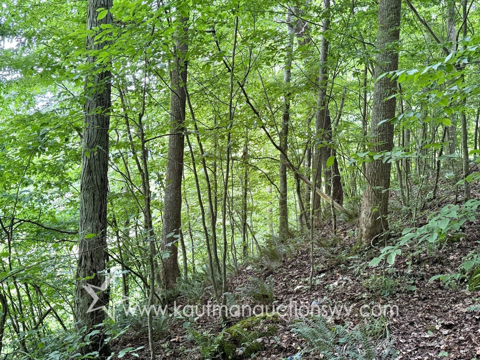 Other - County Road 12-2, Gassaway, WV