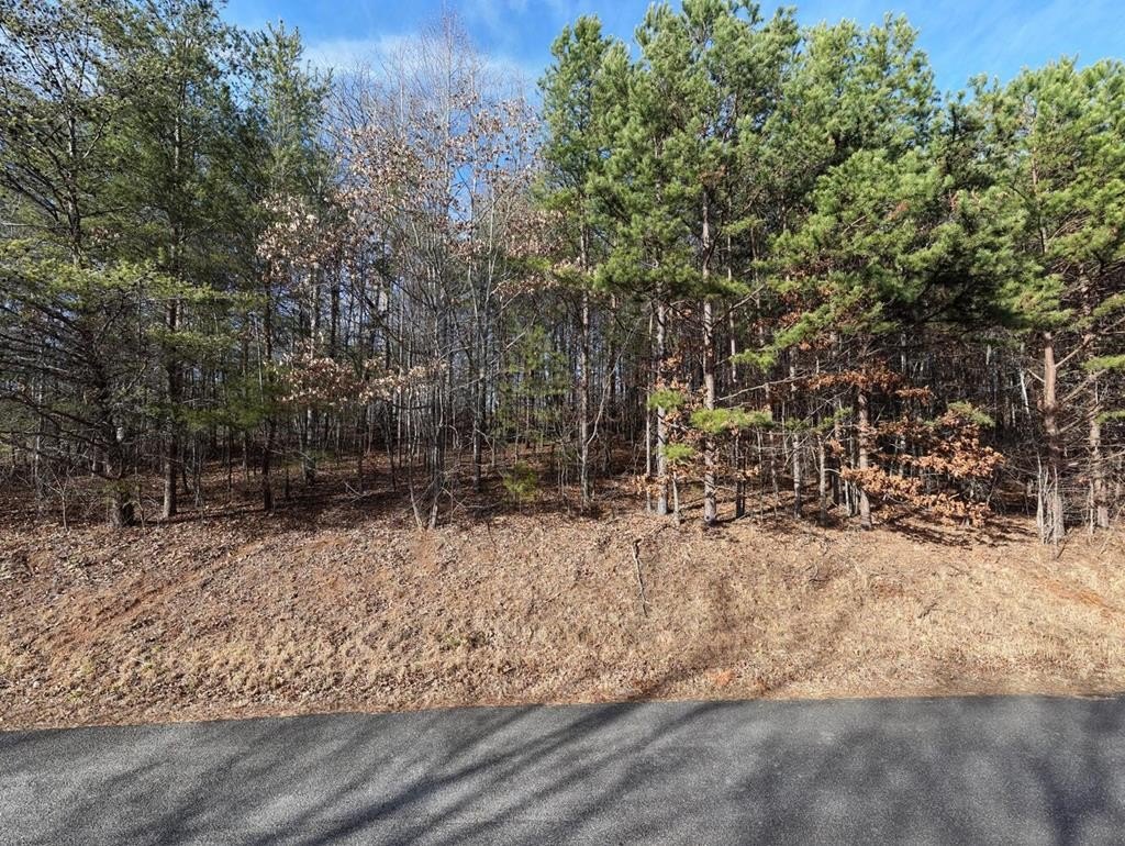 Other - 41 Hidden Fields Road, Hiawassee, GA