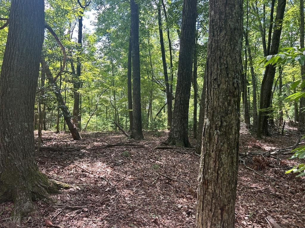 Other - 22.5 Ac Hwy 2, Blue Ridge, GA