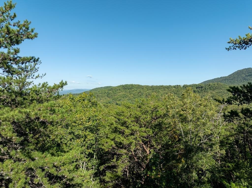 Other - Tract 1 Turniptown Road, Ellijay, GA