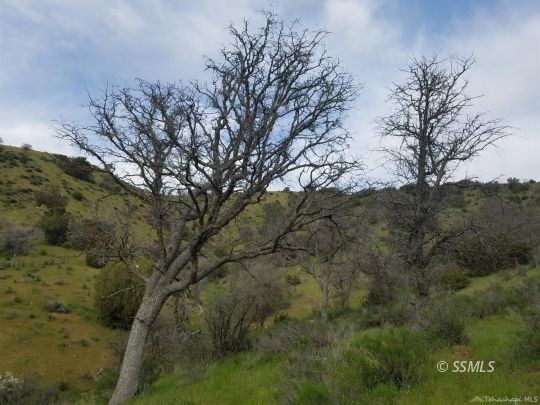 Other - Ellen Blue Rd, Caliente, CA