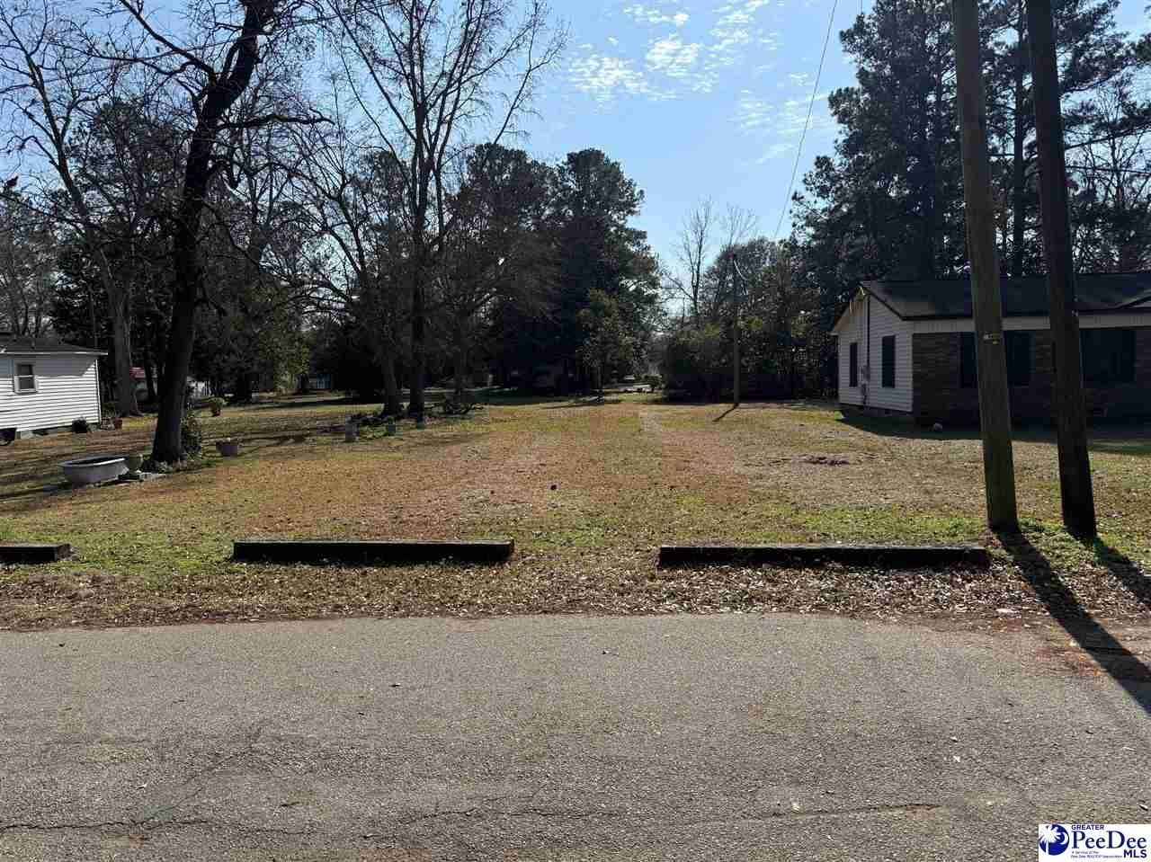 Single Family - TBD Dillon Street, Mullins, SC
