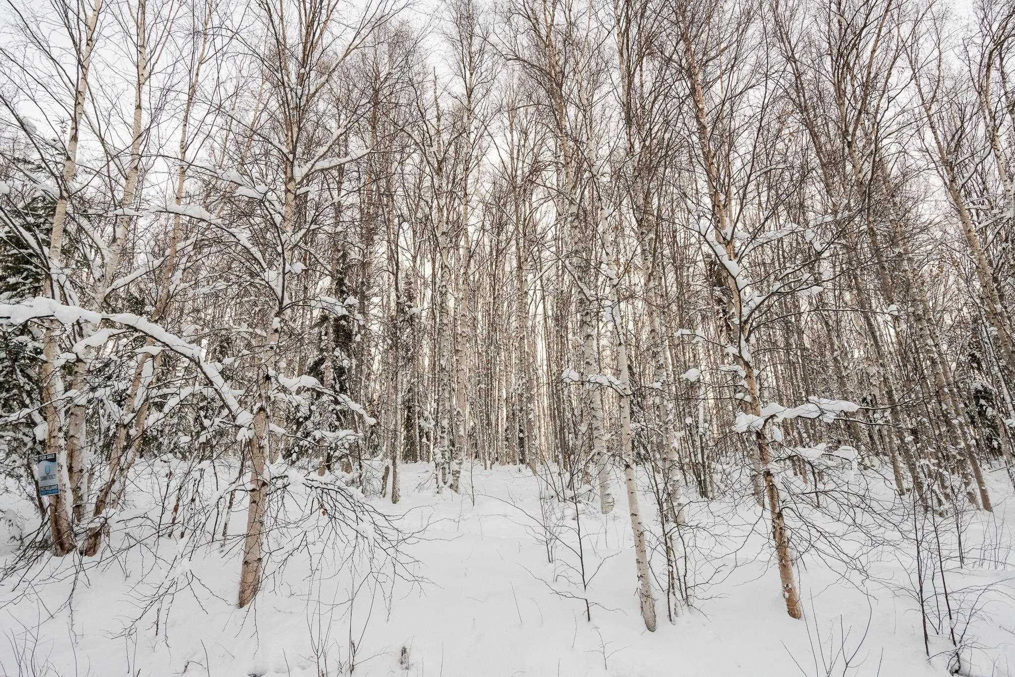 Other - NHN CHENA RIDGE ROAD, Fairbanks, AK