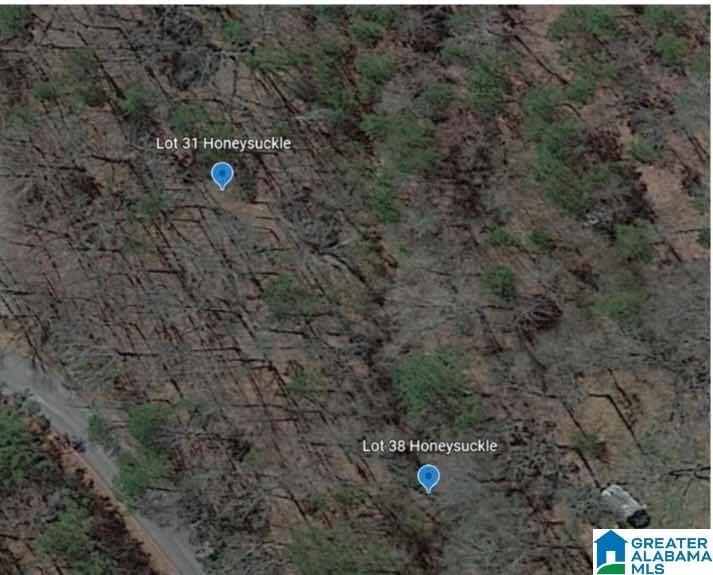 Lot 38 HONEYSUCKLE Ln  