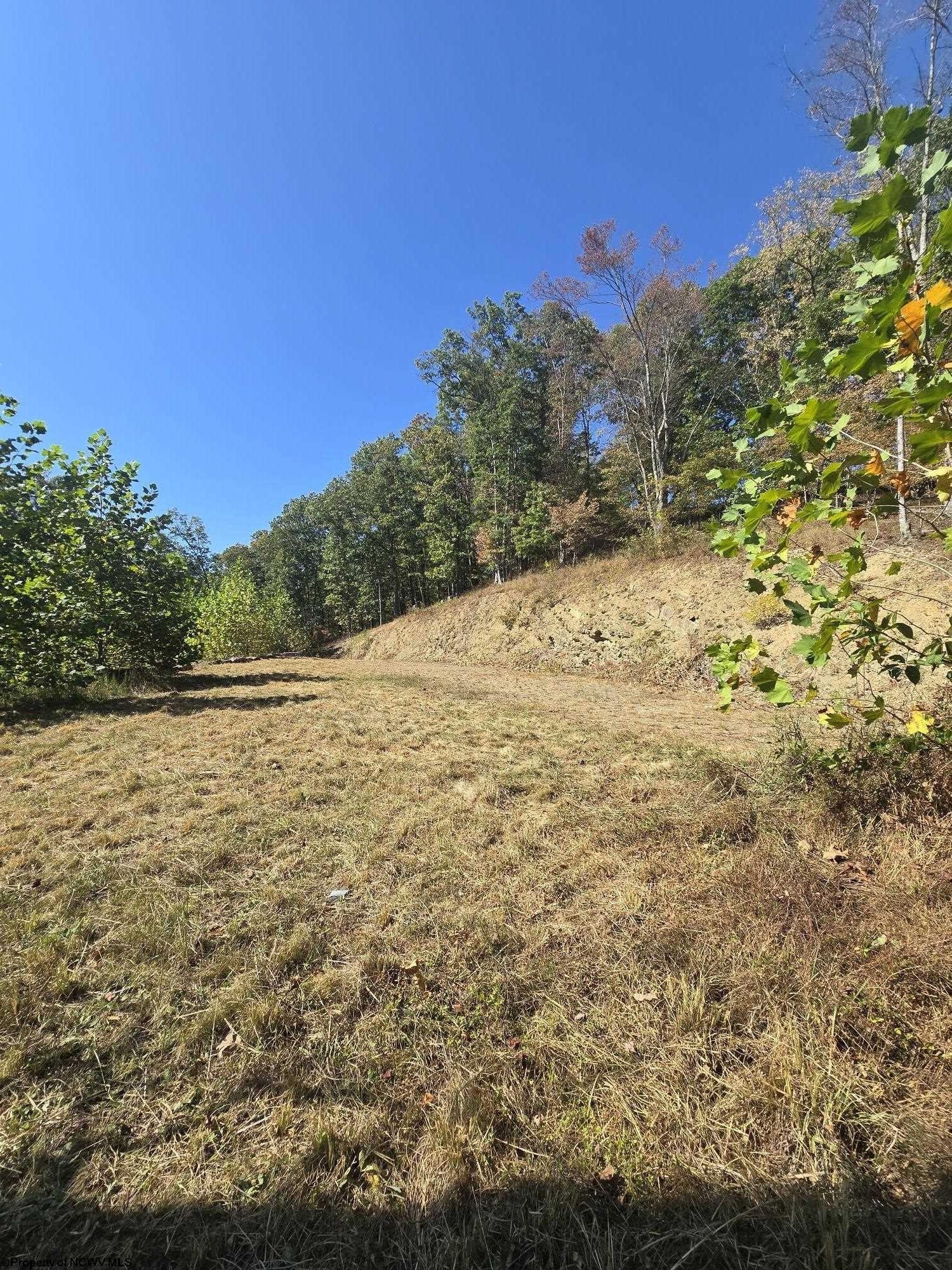 Other - Lot 28 Woodland Drive, Beverly, WV