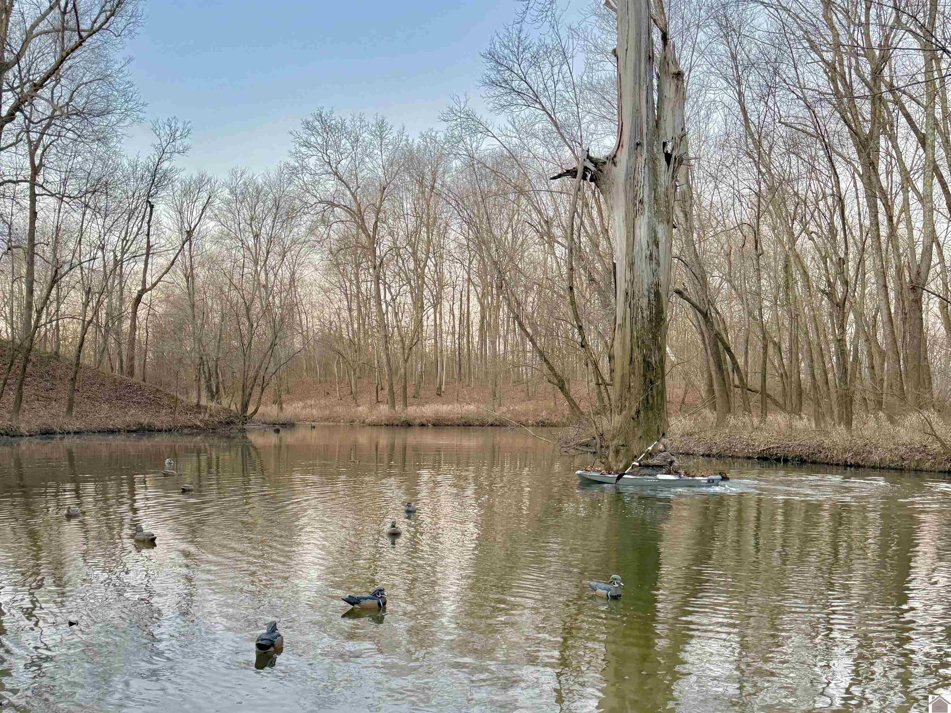 Other - 988 Chipps Rd, Smithland, KY