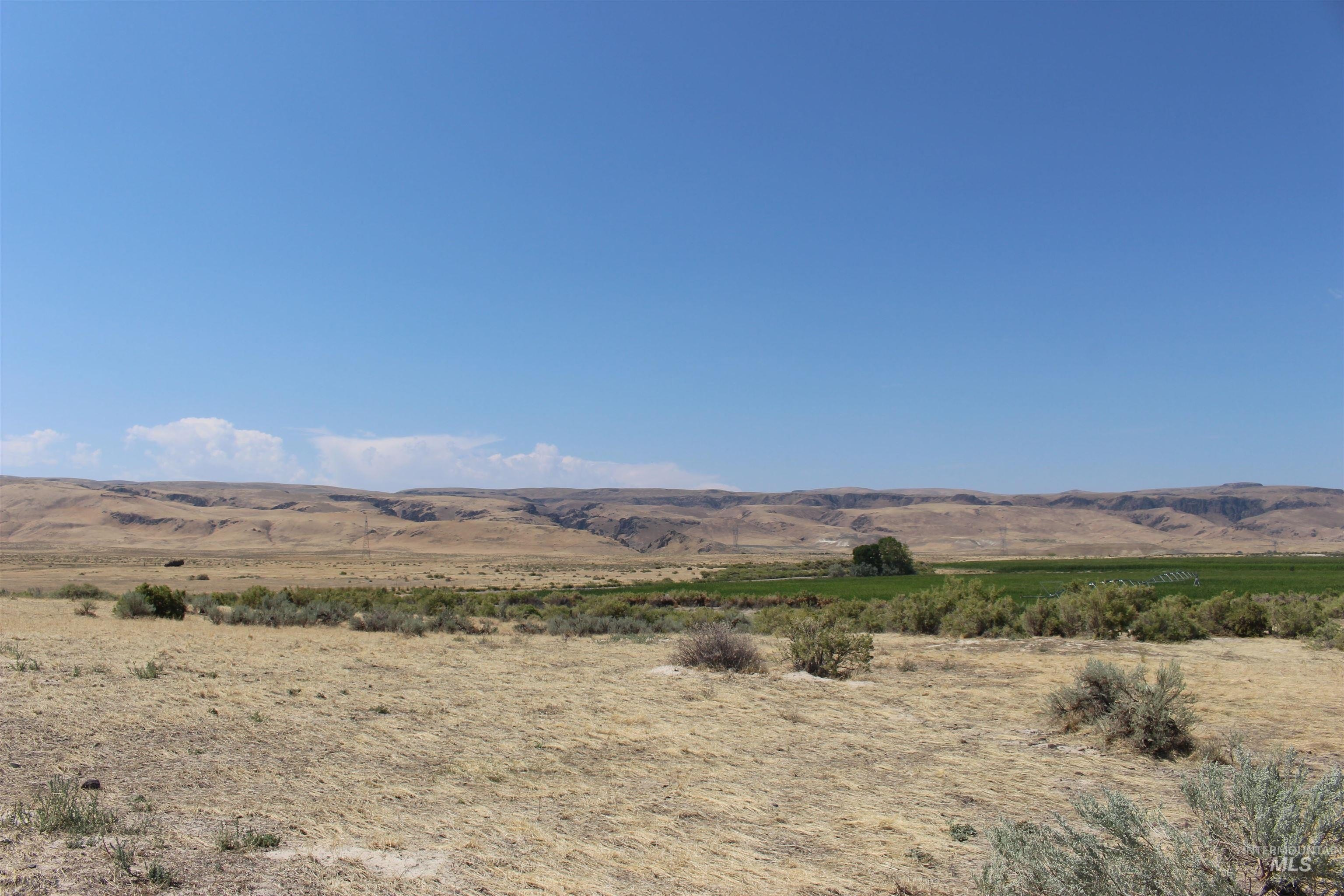Other - Poison Creek Rd, Marsing, ID
