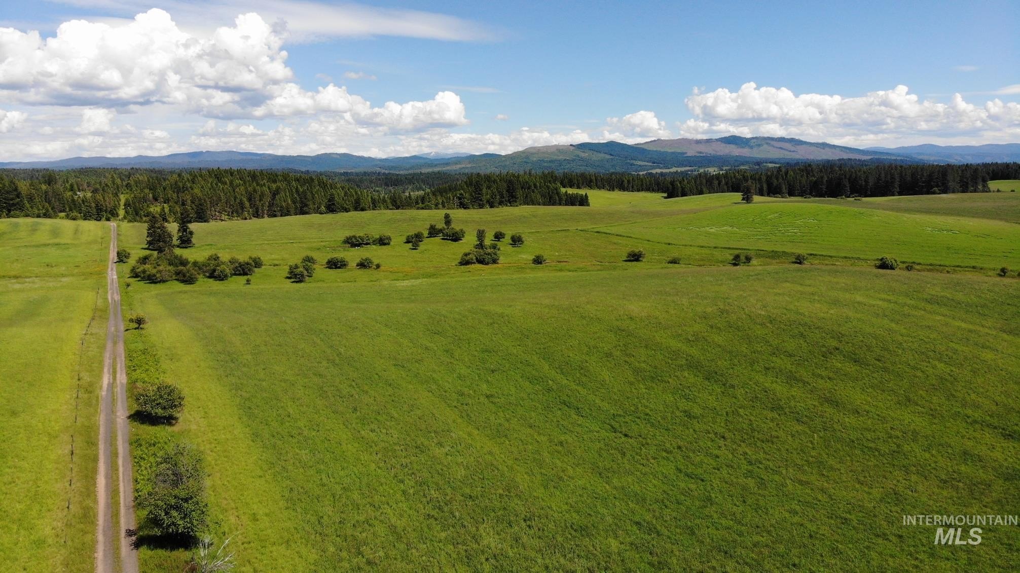 Other - Woodland-Caribel Road, Kamiah, ID
